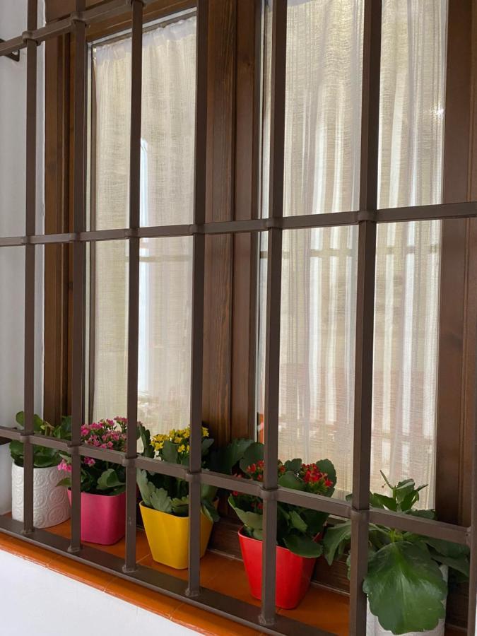 Apartamento Don Quijote Toledo